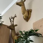 Gipfelblick Mit Fantastischem Wurmbergblick Inkl Endreinigung 布劳恩拉格