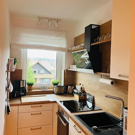 Apartment Gipfelblick Mit Fantastischem Wurmbergblick Inkl Endreinigung *