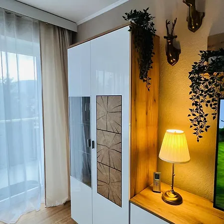 Apartment Gipfelblick Mit Fantastischem Wurmbergblick Inkl Endreinigung *