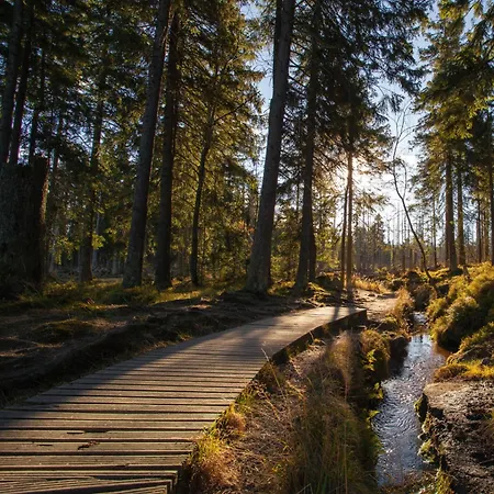 Gipfelblick Mit Fantastischem Wurmbergblick Inkl Endreinigung Apartment *