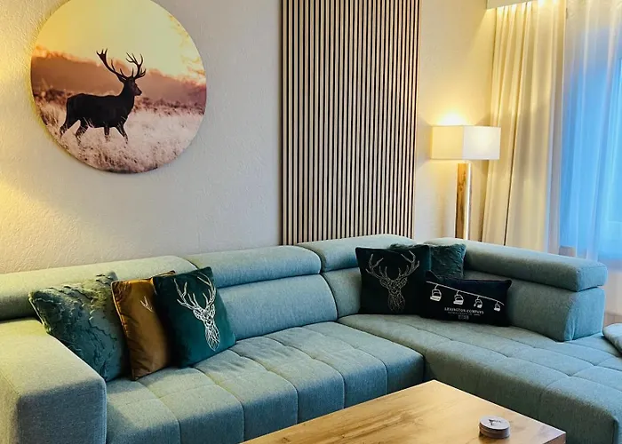 Apartment Gipfelblick Mit Fantastischem Wurmbergblick Inkl Endreinigung Braunlage