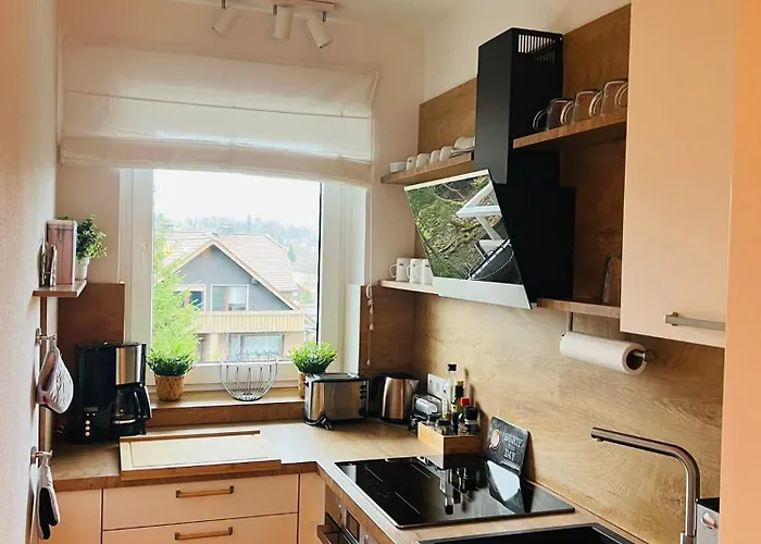 Apartment Gipfelblick Mit Fantastischem Wurmbergblick Inkl Endreinigung *
