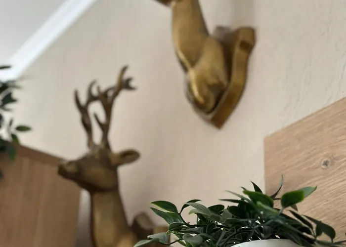 Gipfelblick Mit Fantastischem Wurmbergblick Inkl Endreinigung Braunlage