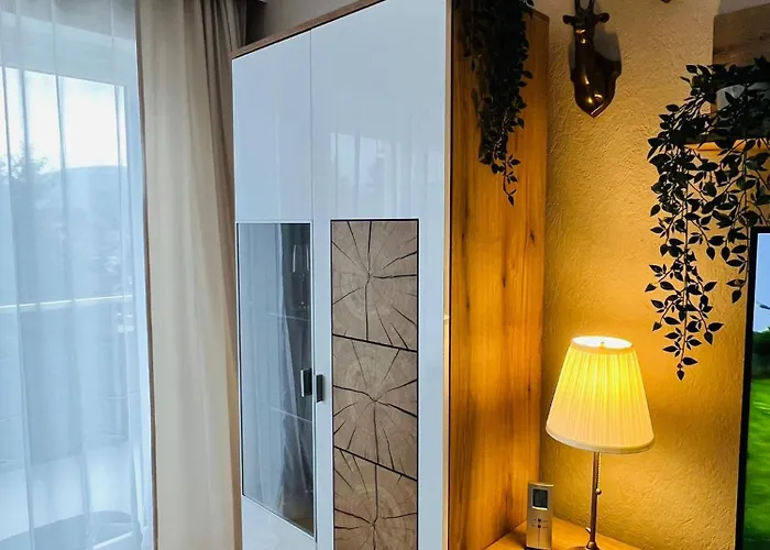 Apartment Gipfelblick Mit Fantastischem Wurmbergblick Inkl Endreinigung *