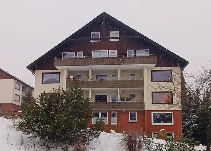 Apartment Gipfelblick Mit Fantastischem Wurmbergblick Inkl Endreinigung *