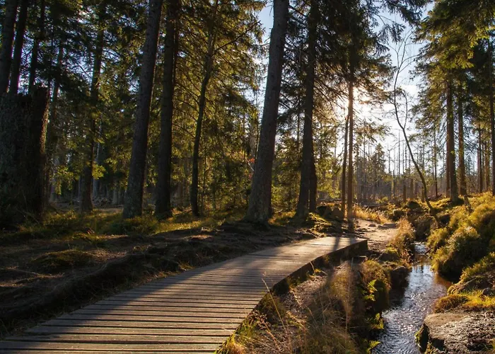 Gipfelblick Mit Fantastischem Wurmbergblick Inkl Endreinigung Apartment *